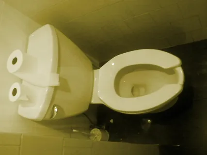 马桶,吸顶灯,玩具,灯,水壶,公共厕所