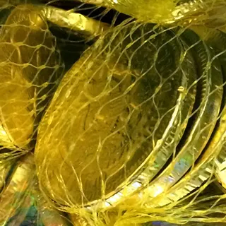 乌龟,仙人球,鸟类,甘蓝,首饰/饰品,金糖硬币