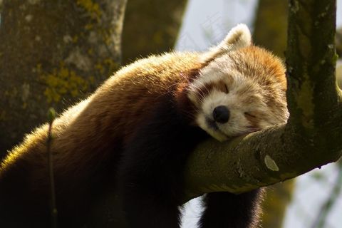 摇滚再见宝贝 摇滚再见宝贝