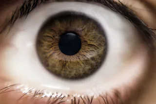 我的眼睛-倒置50毫米