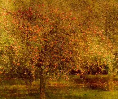 dis天堂乐园lost失乐园✿