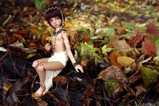 美女,油画,泳衣,时装T台,女内衣,Planetdoll迷你Riz男孩