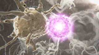 登革热病毒感染