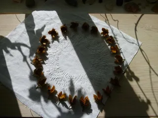 阳光下的周日能量舞