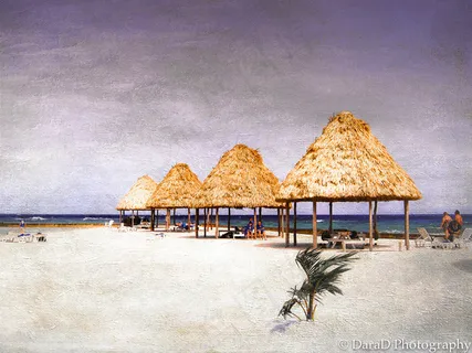 圣诞节在沙滩上