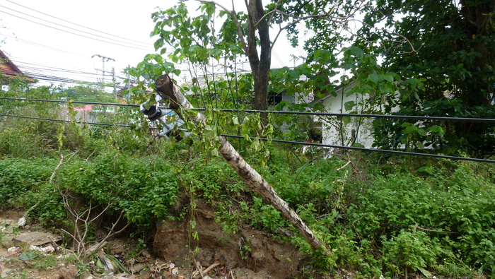 苏梅岛查汶地区小电线杆倒下サムイ岛チャウエン洪水后6