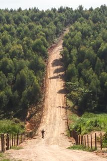 树,山峦,风景,霍去病墓,长城,伊图佩娃