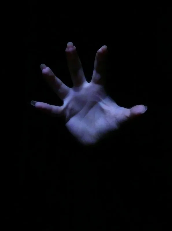 手掌,手,手指,花卉,模糊图片,我要杀了你