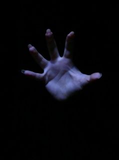 手掌,手,手指,花卉,模糊图片,我要杀了你