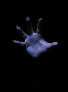 手掌,手,手指,花卉,模糊图片,我要杀了你