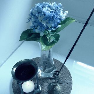 *花,绣球花,工艺品,风信子,花卉,1月13日：蓝色星期一