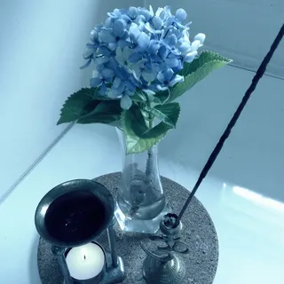 *花,绣球花,工艺品,风信子,花卉,1月13日：蓝色星期一