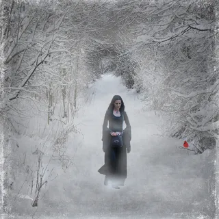 ,冰雪,工笔画,树挂,钢笔画,冬天的女人