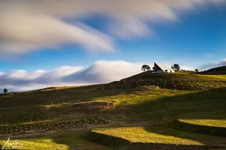 堪培拉馆国家植物园