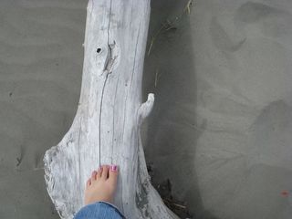 脚,关节X线照片,膝关节,卫星云图,月球环形山,平衡技术