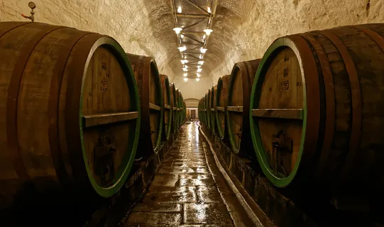 酒桶图,酒窖,酒桶,隧道,酿酒厂,进入地窖