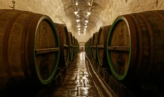 酒桶图,酒窖,酒桶,隧道,酿酒厂,进入地窖