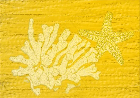 包,玻璃,床单,商品标签,海洋生物大冒险