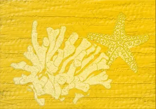 包,玻璃,床单,商品标签,海洋生物大冒险