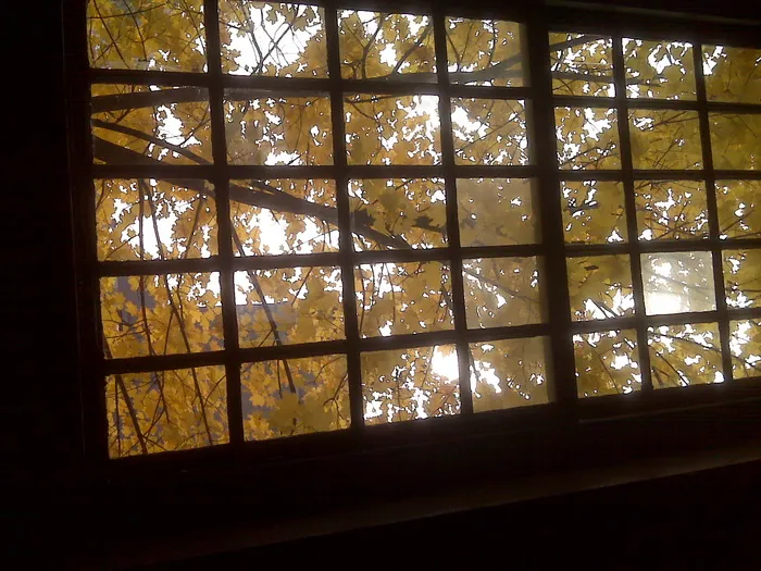 窗户,隔热砖,金属马赛克,窗,马赛克,IMG00461