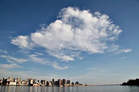 天空,白云,天上的白云,树,云团,阿雷格里港 天空,白云,天上的白云,树,云团,阿雷格里港