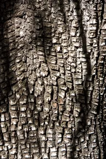IMG_0048 IMG_0048