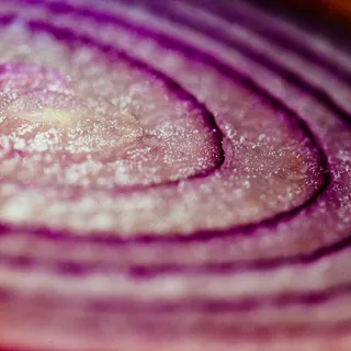 洋葱,毯子,布料图,红球甘蓝,玫瑰,通过紫洋葱看