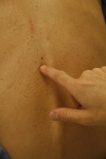 病理图,手指,手,手套,沙漠,目标