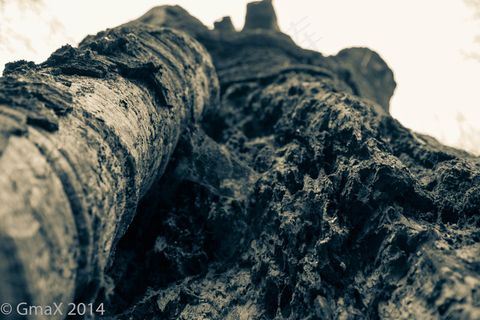 我很大，但是我的核心很烂。