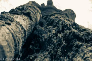 我很大，但是我的核心很烂。