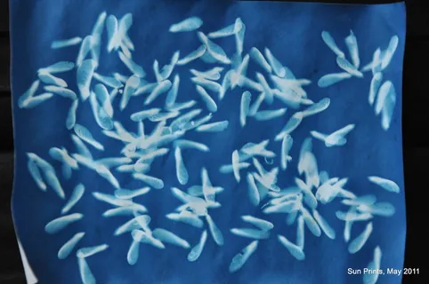 图像素材,文字图片,图画,卡通动漫人物,蓝印花布,枫树种子