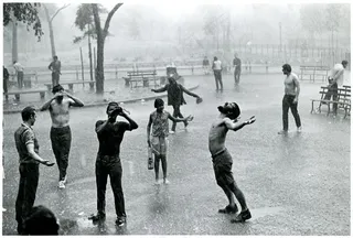 汤普金斯广场公园