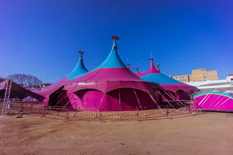 欣奇利夫的马戏团