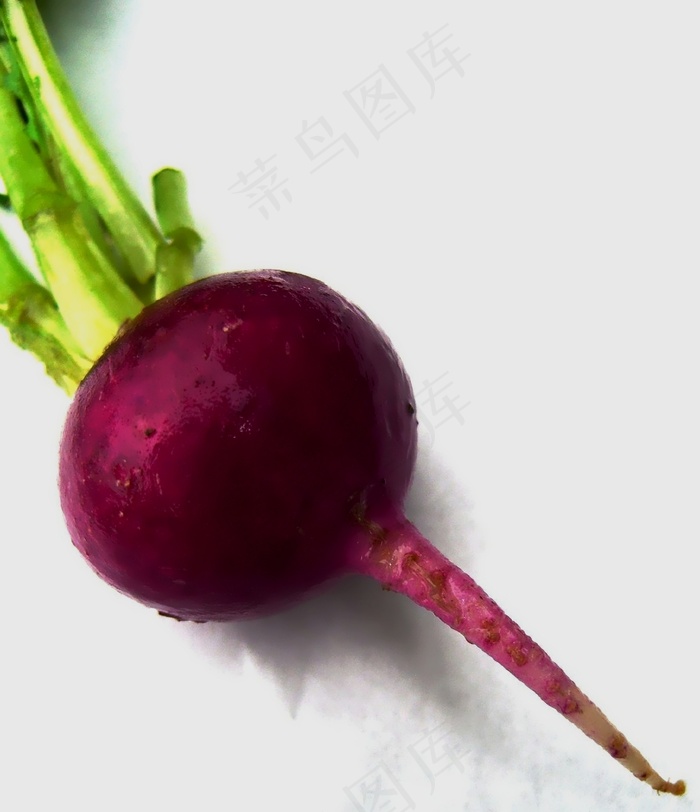 车厘子,萝卜,樱桃,白萝卜,甜菜,甜菜