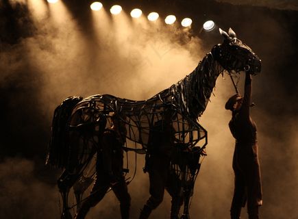 ,美女,头发,女孩,战马