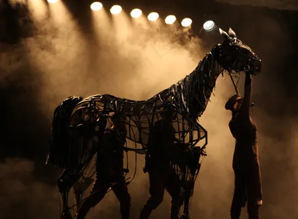 ,美女,头发,女孩,战马