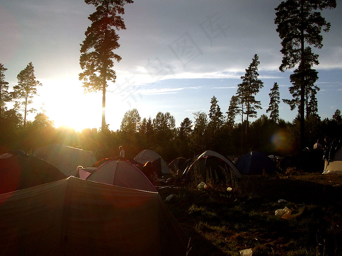 天空,晨曦,生态林,油画,太阳,Emmabodafestivalen