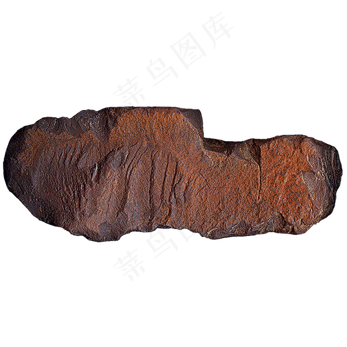 植物,睡袋,工艺品,木板,毛线,导弹石：雷神的雷电bol蛇“ ingot”；弗雷亚（Freya）的“βαυβóν”；奥丁的渡轮“飞镖”。 MAGIC.κ.TOOL：柄撒克逊刀（“ seax”）和锯；竖起了锤子和鱼叉。 ♦神圣的◆金刚烷◆闪电◆穿梭♦