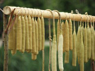 黄荚种菜豆,豇豆,豆角,晒衣夹,棉签,蜂蜡蜡烛