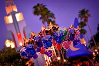 花卉,卡通动漫人物,图画,屏幕截图,树,迪士尼周刊