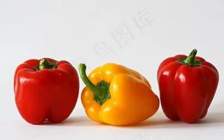 灯笼椒,圣女果,樱桃,车厘子,灯笼辣椒,Guida Alla Coltivazione Dei Peperoni在Orto的Giardino e