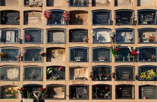 回忆之墙，死亡之墙