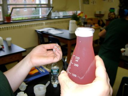 瓶子,洗发,沐浴乳,洗发水,化妆品,混搭项目的图像