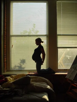 百叶帘,窗,门,百叶窗,窗户,怀孕概况IV