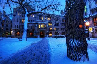 冰雪,电线/电缆,建筑,壁纸,彩灯装饰,非常喜欢。