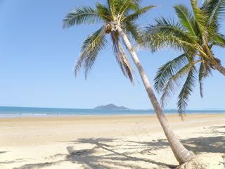 椰子树,海洋,椰树,树,花卉,米申海滩2011年9月26日