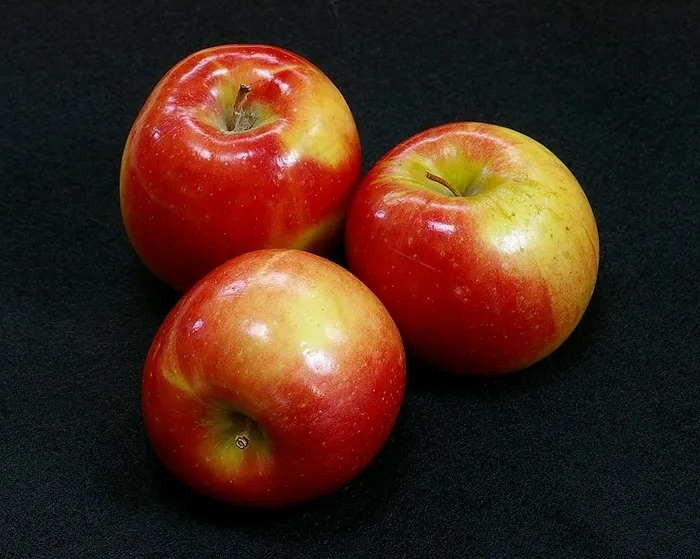 苹果,姬娜果,西红柿,柿子,桔子,苹果