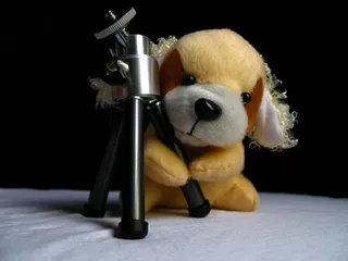 玩具,玩具狗,台灯,玩具熊,工艺品,“这是马三脚架”
