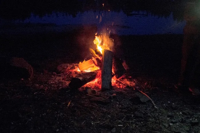 熊熊大火,篝火,森林火灾,火焰特效,烤火,亚历山大港篝火晚会