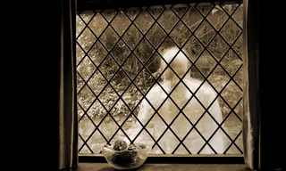 窗棂,窗,窗户,门,室内一角,存在